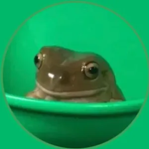 frogiee1 - made now.gg bypass